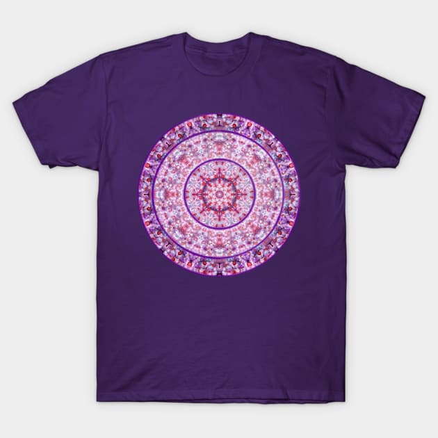 Compass Point Kaleidoscope 2 T-Shirt by PhotosbyHealy